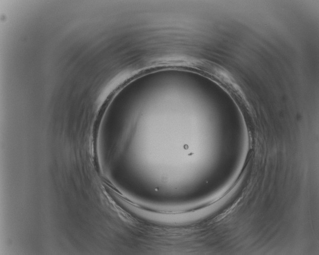 X0000067001328200603311604