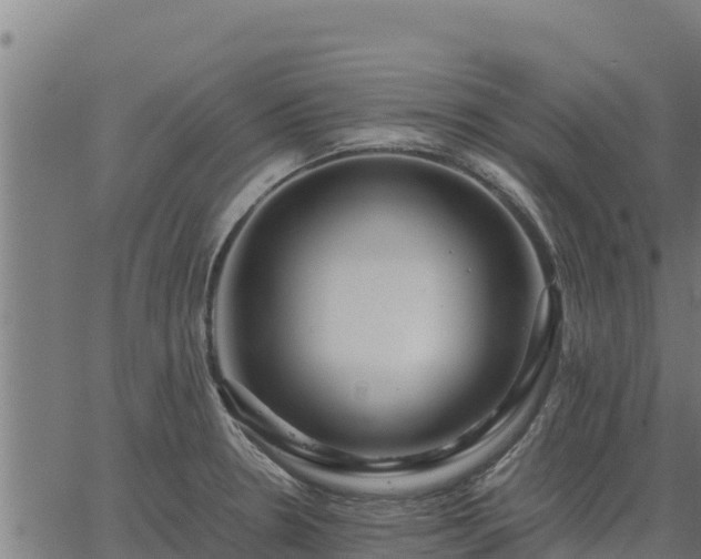 X0000067001330200603311605