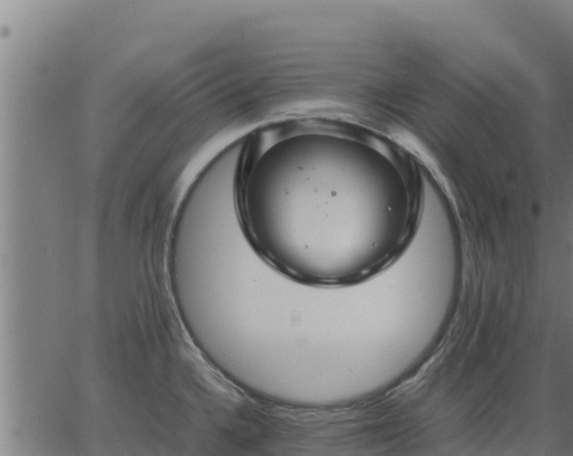 X0000067001336200603311605