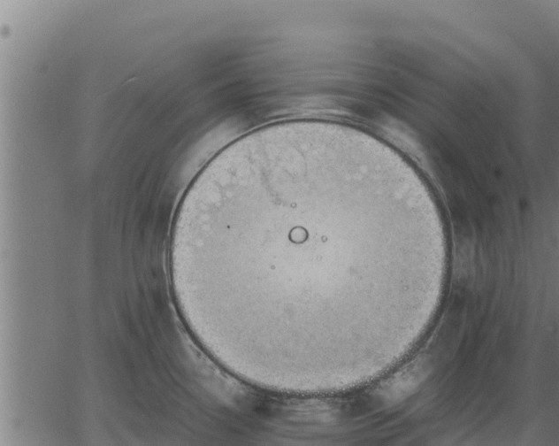 X0000067001338200603311605