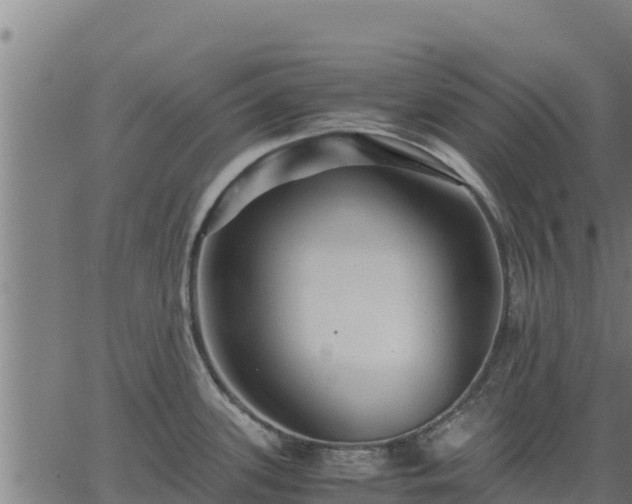 X0000067001339200603311605