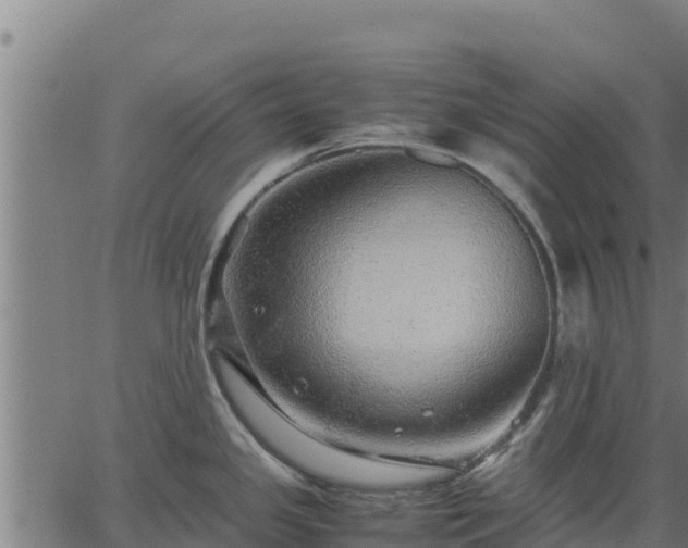 X0000067001341200603311605