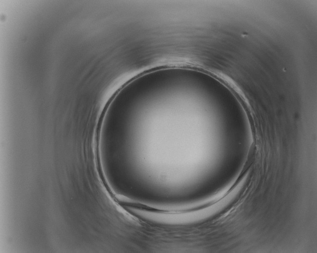 X0000067001343200603311605