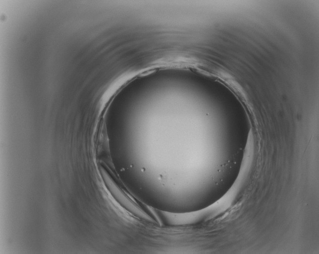 X0000067001344200603311605