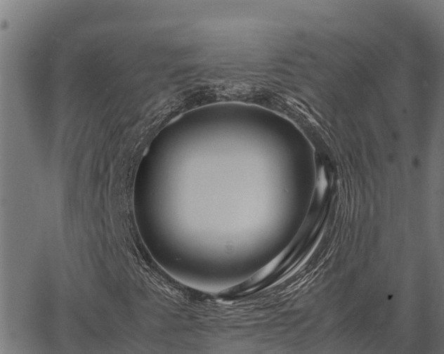 X0000067001345200603311604