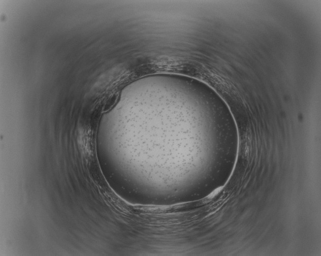 X0000067001346200603311604