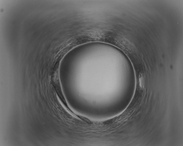 X0000067001347200603311604