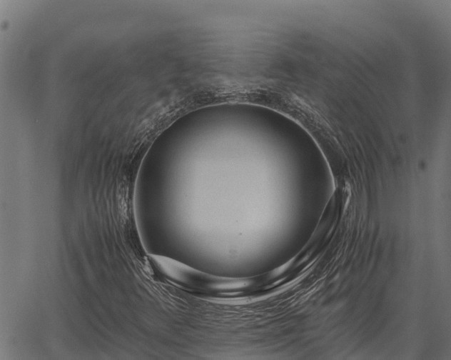 X0000067001348200603311604