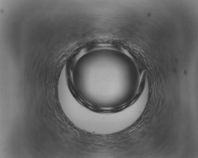 X0000067001349200603311604