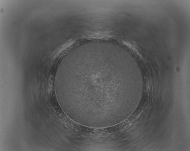 X0000067001350200603311604