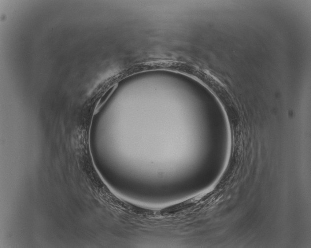 X0000067001351200603311604