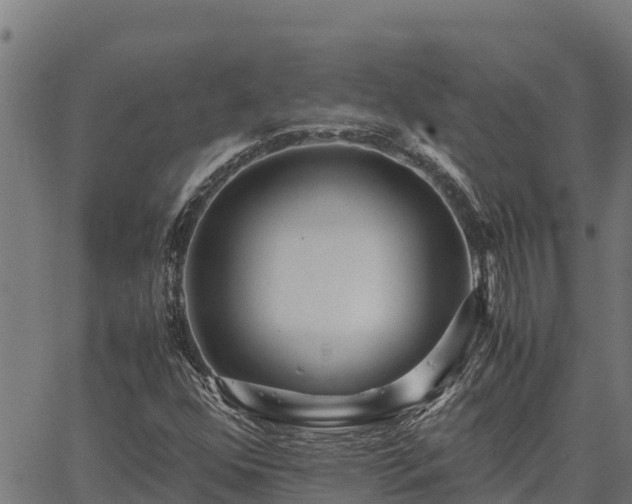 X0000067001352200603311604