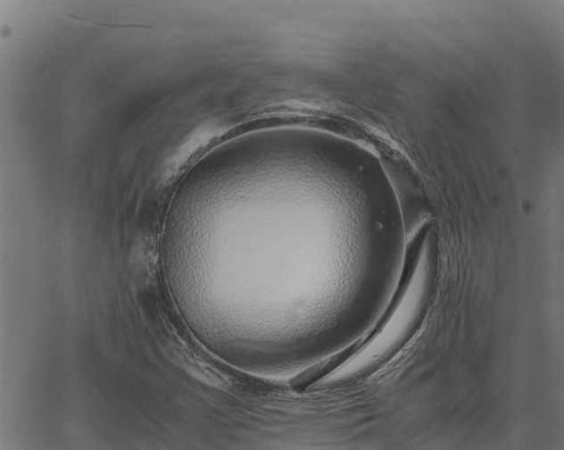 X0000067001355200603311604