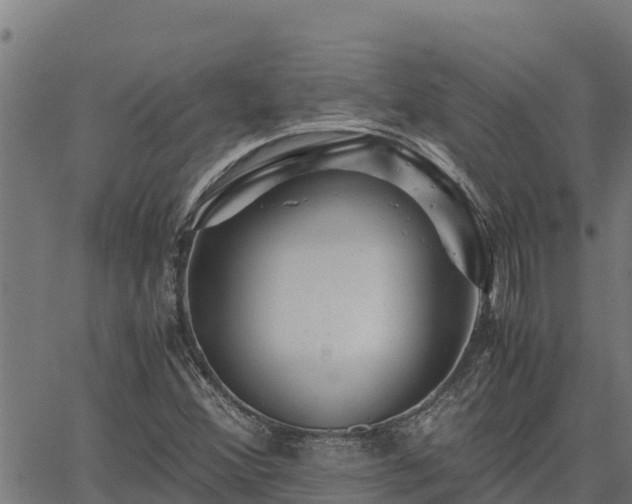 X0000067001356200603311604