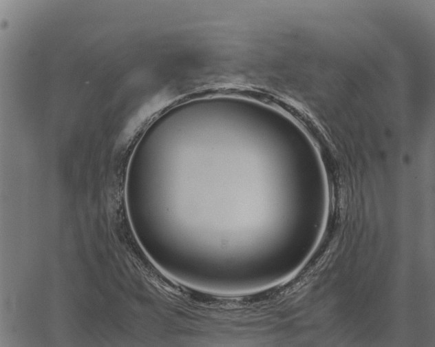 X0000067001359200603311604