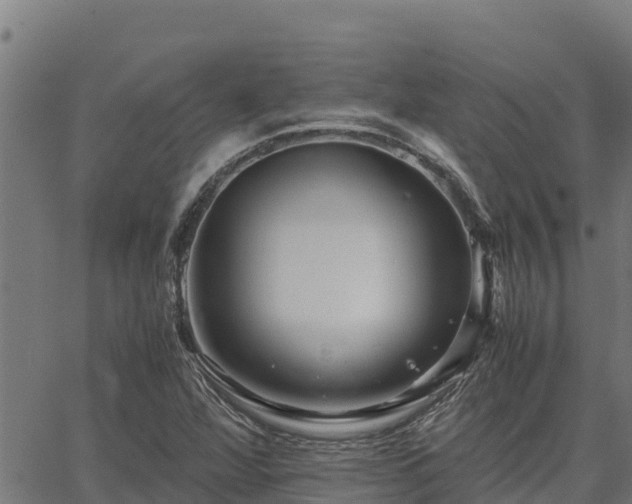 X0000067001360200603311604