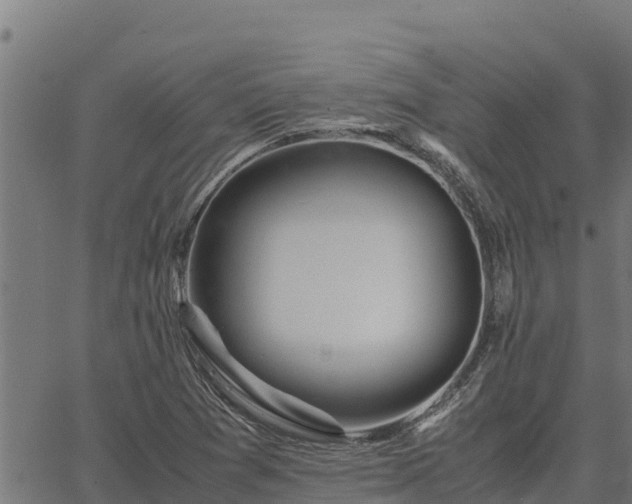 X0000067001361200603311604