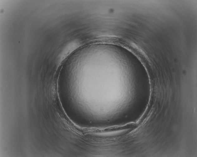 X0000067001362200603311604