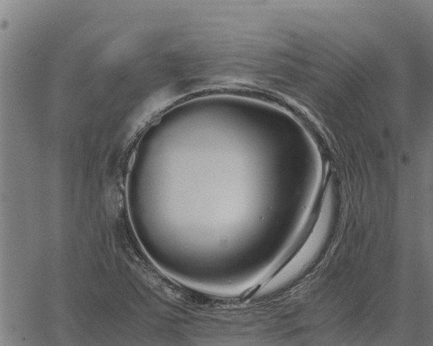 X0000067001363200603311604