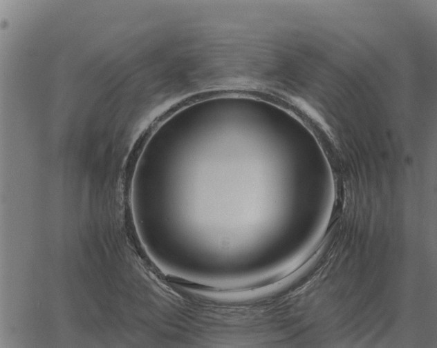 X0000067001364200603311604