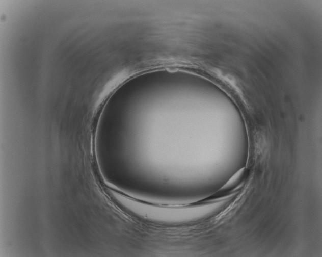 X0000067001365200603311604