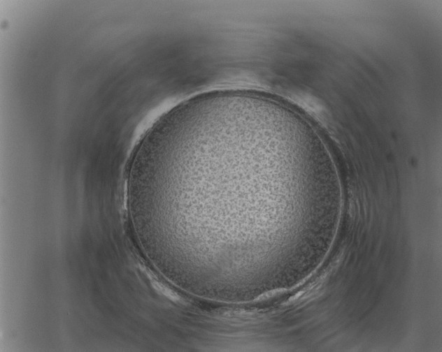 X0000067001366200603311604