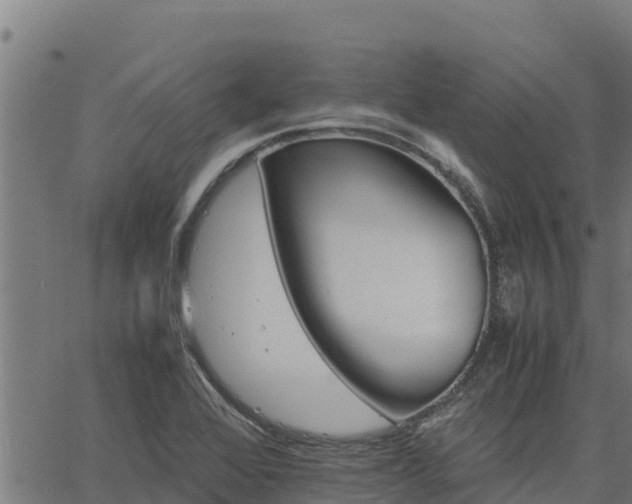 X0000067001368200603311604