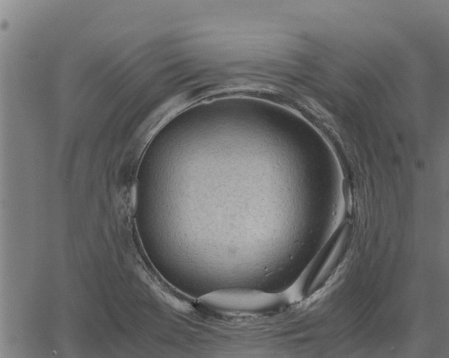 X0000067001369200603311604