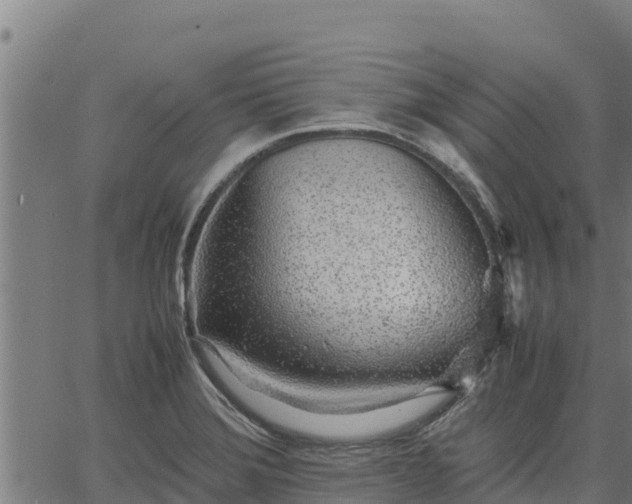 X0000067001372200603311603