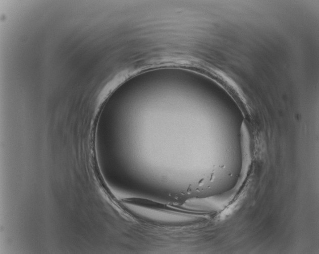 X0000067001373200603311603