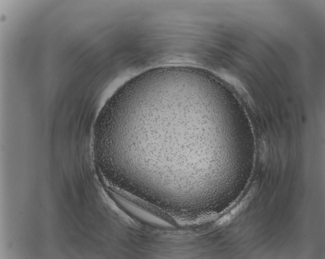 X0000067001374200603311603