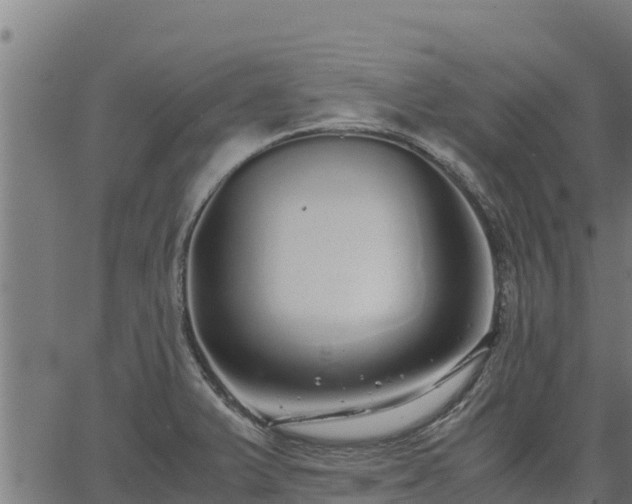 X0000067001375200603311603