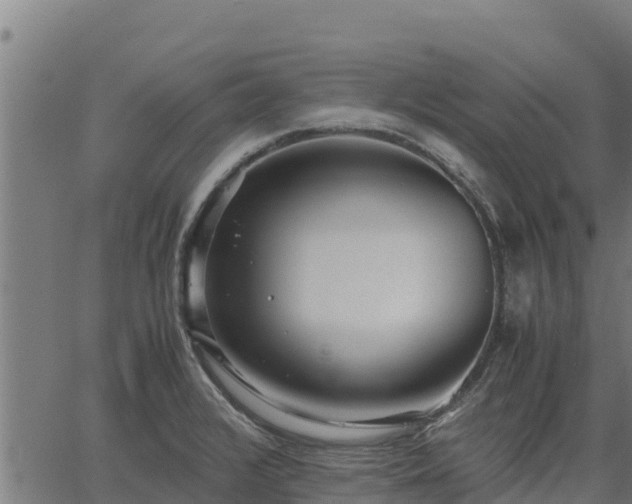 X0000067001376200603311603