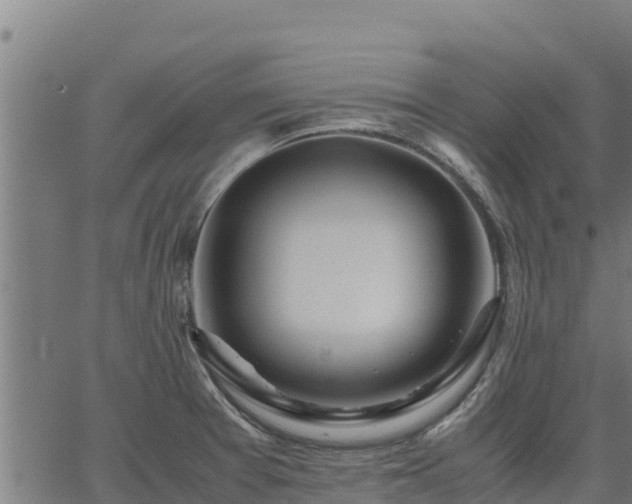 X0000067001377200603311603