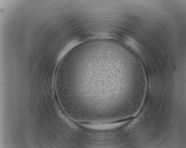 X0000067001378200603311603