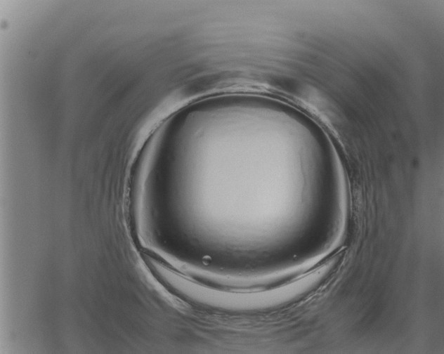 X0000067001379200603311603