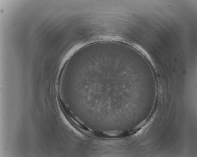 X0000067001381200603311603