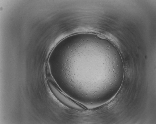 X0000067001382200603311603