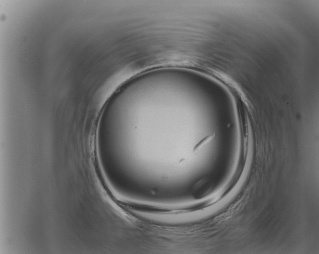 X0000067001383200603311603