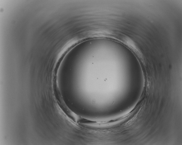 X0000067001384200603311603