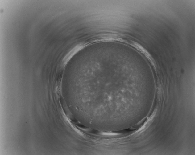 X0000067001385200603311603