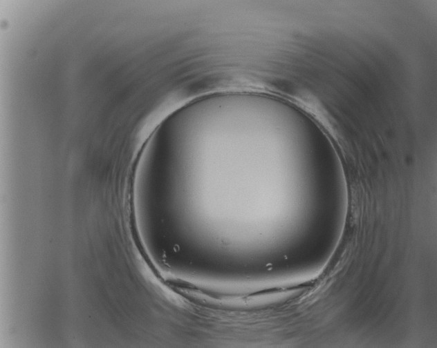 X0000067001387200603311603