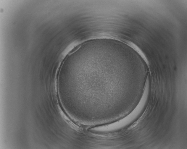 X0000067001388200603311603