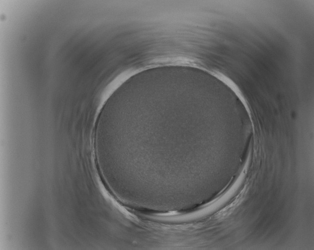 X0000067001389200603311603