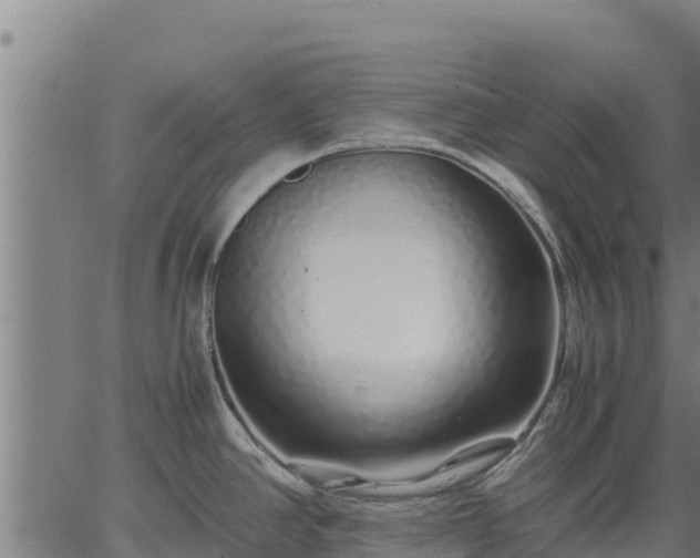 X0000067001390200603311603