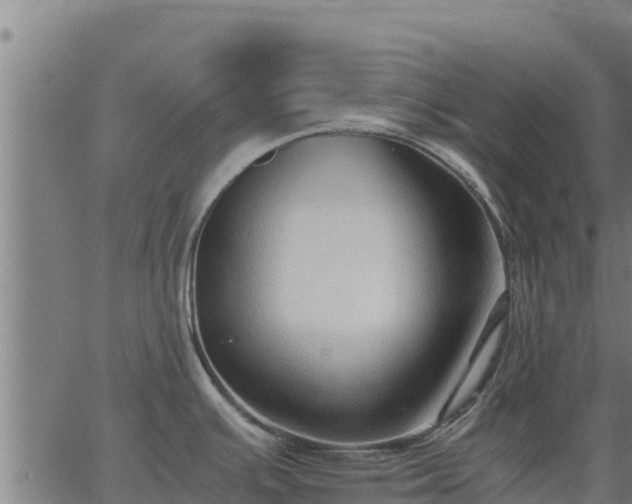 X0000067001391200603311603