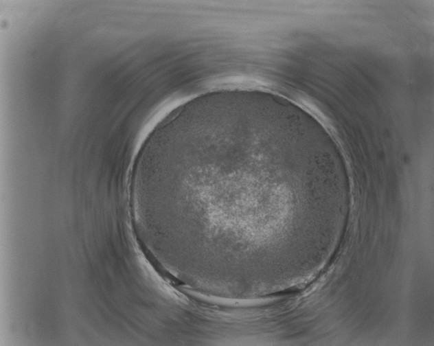 X0000067001392200603311603