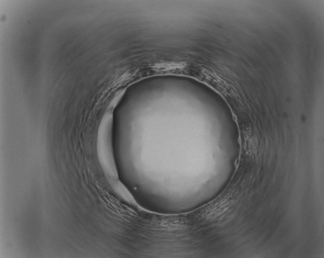 X0000067001393200603311602