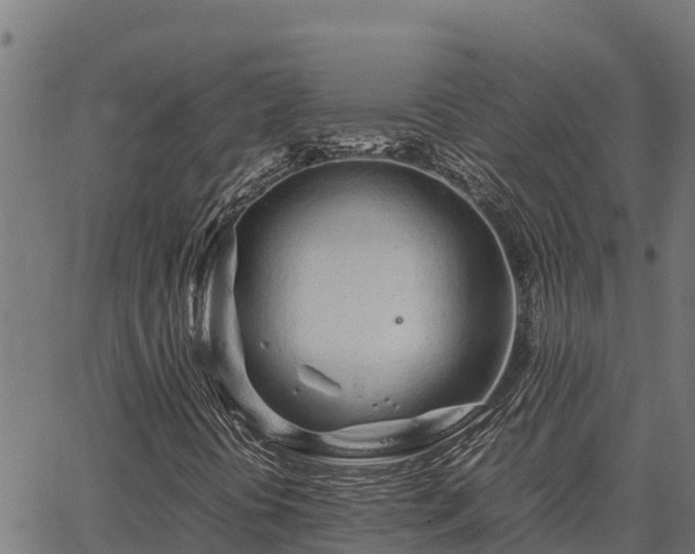 X0000067001394200603311602