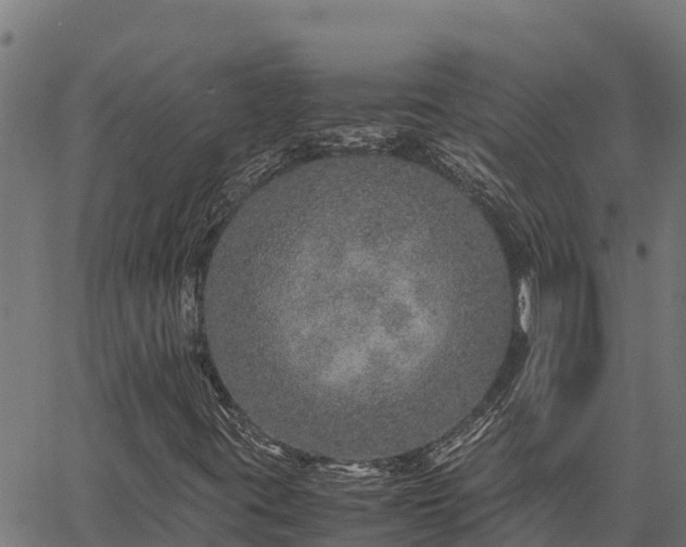 X0000067001395200603311602